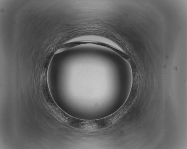 X0000085830601200703301621