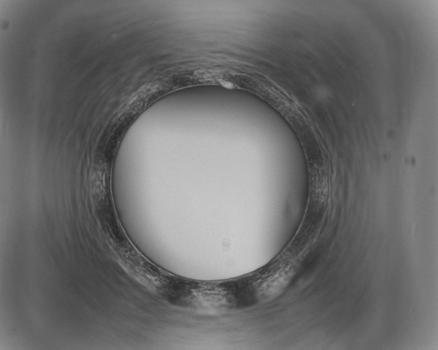 X0000085830603200703301621