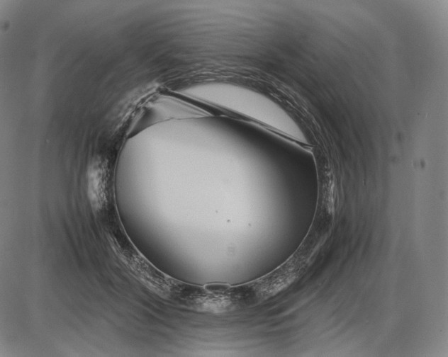 X0000085830604200703301621