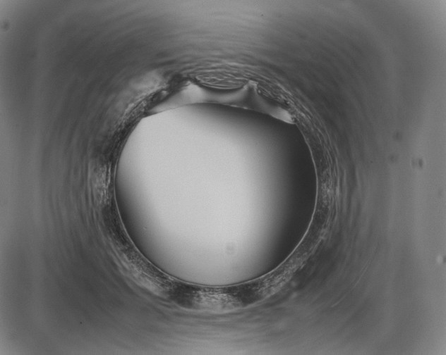 X0000085830605200703301621