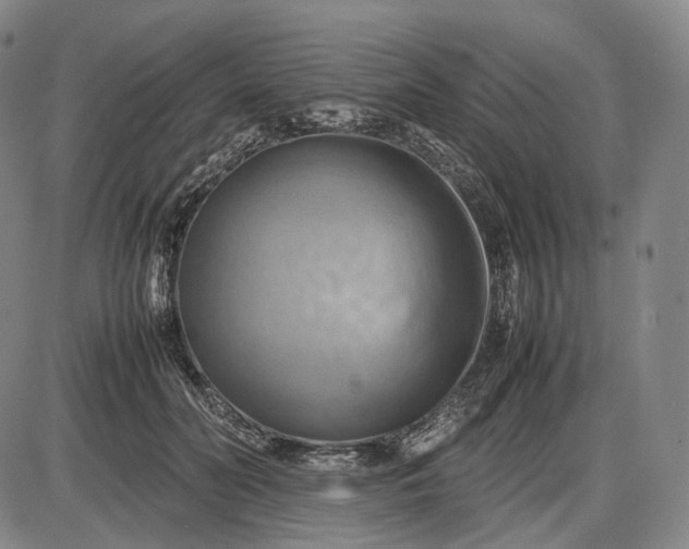 X0000085830606200703301621