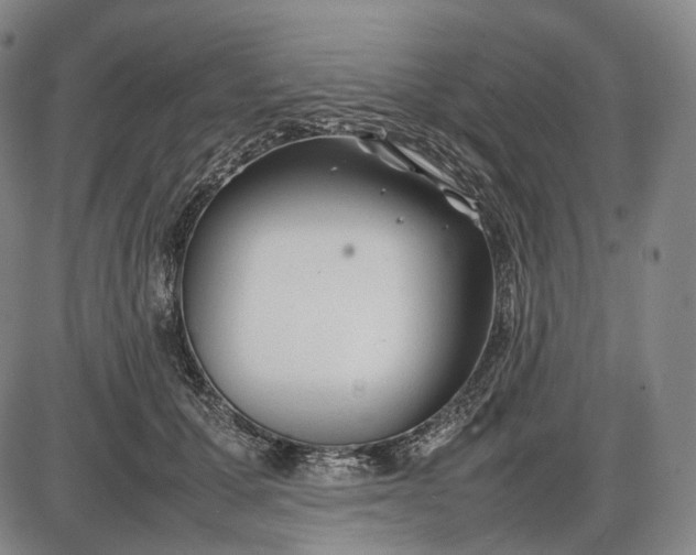 X0000085830607200703301621