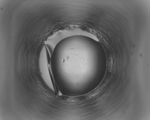 X0000085830608200703301621