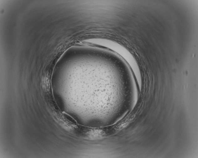 X0000085830609200703301621