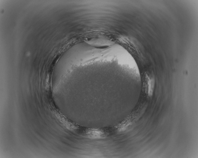 X0000085830610200703301621