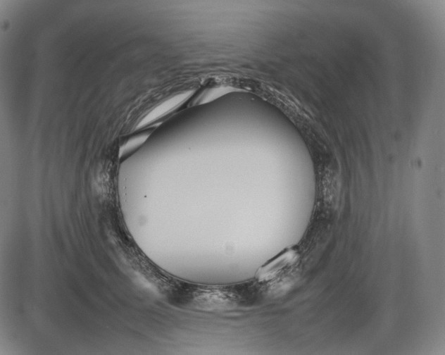 X0000085830611200703301621