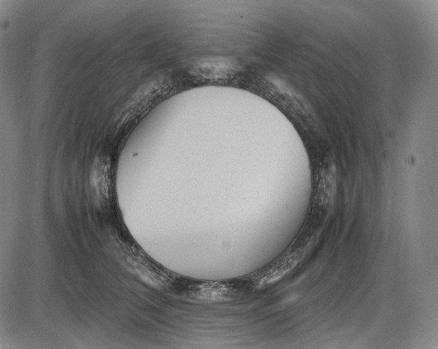 X0000085830612200703301621