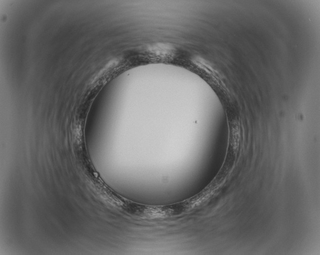 X0000085830613200703301621