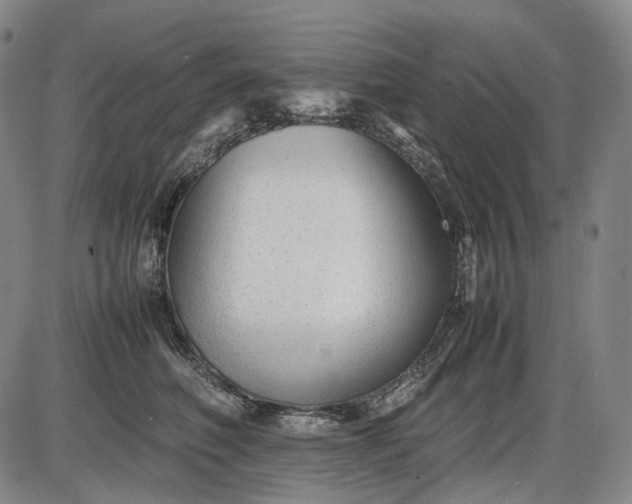 X0000085830614200703301621