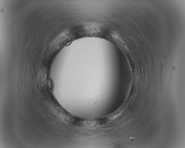 X0000085830615200703301621