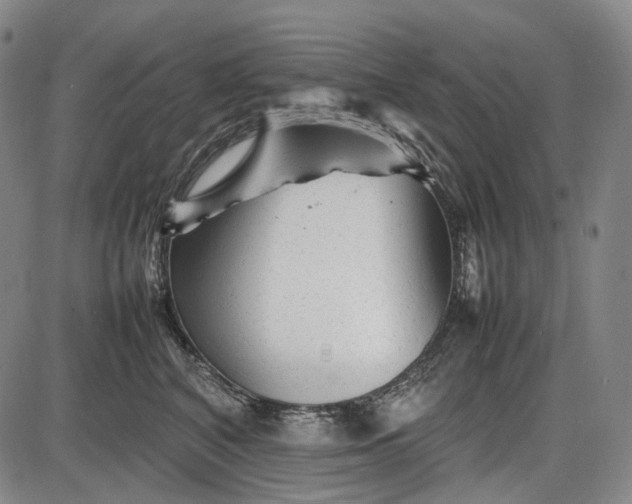 X0000085830616200703301621