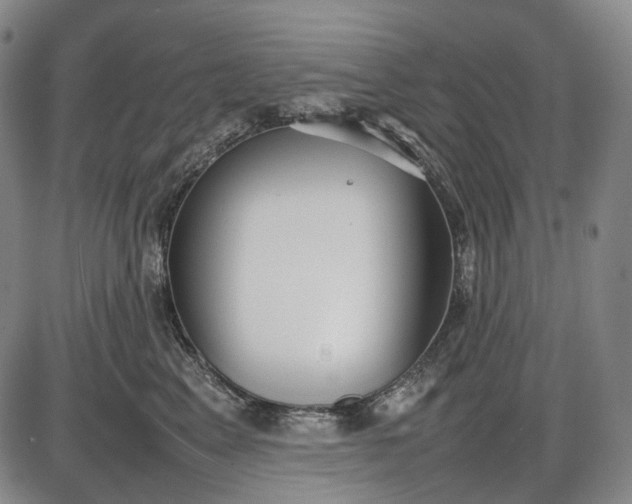 X0000085830617200703301621