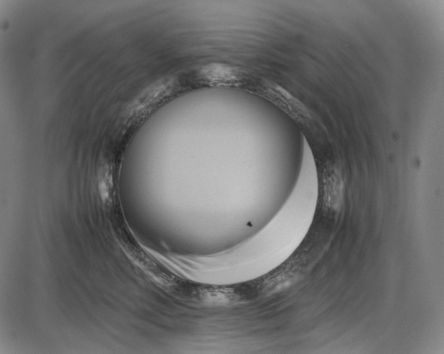 X0000085830618200703301621