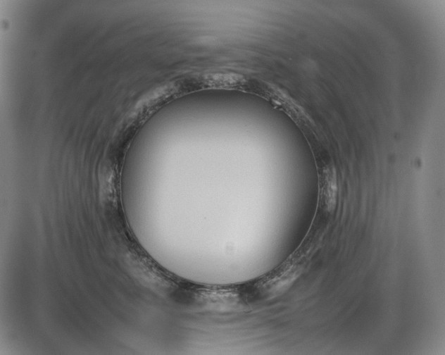 X0000085830619200703301621