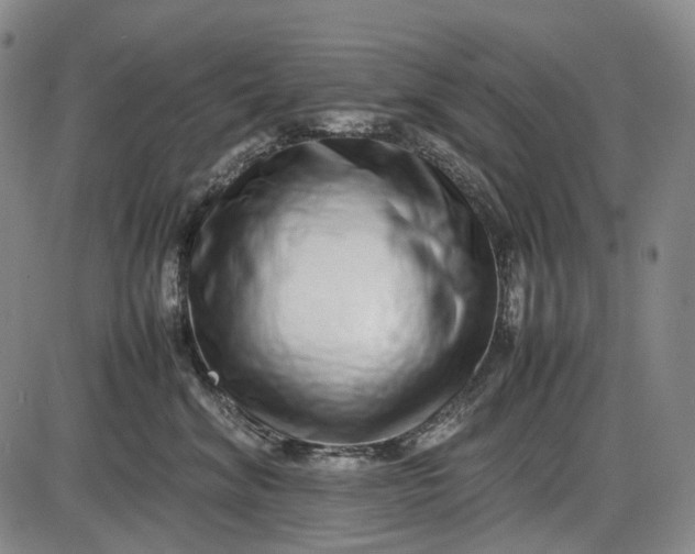 X0000085830620200703301621