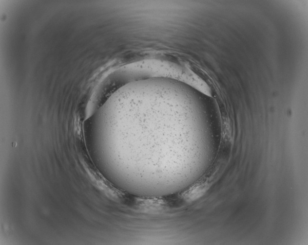 X0000085830621200703301621