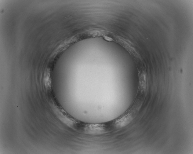 X0000085830622200703301621