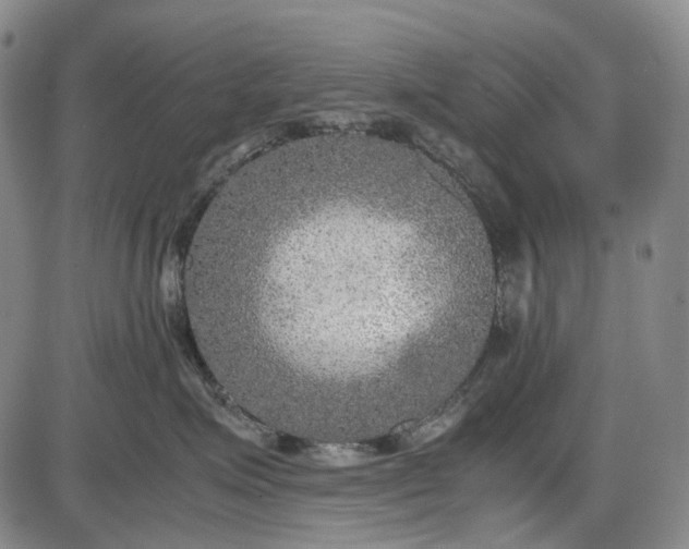 X0000085830623200703301621