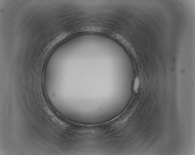 X0000085830625200703301620