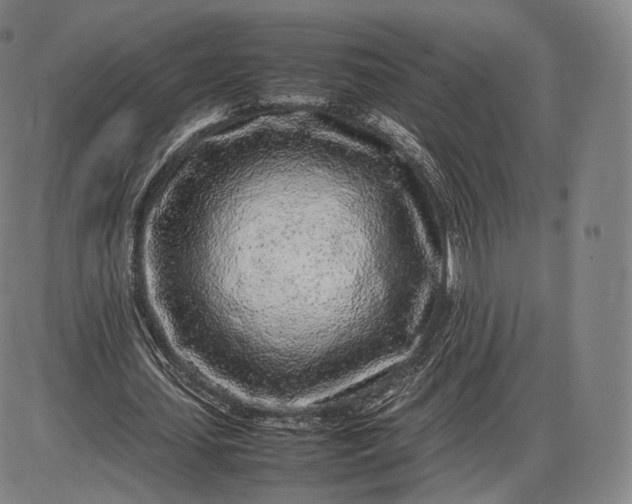 X0000085830627200703301620