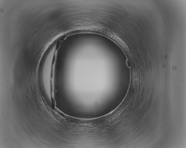 X0000085830628200703301620