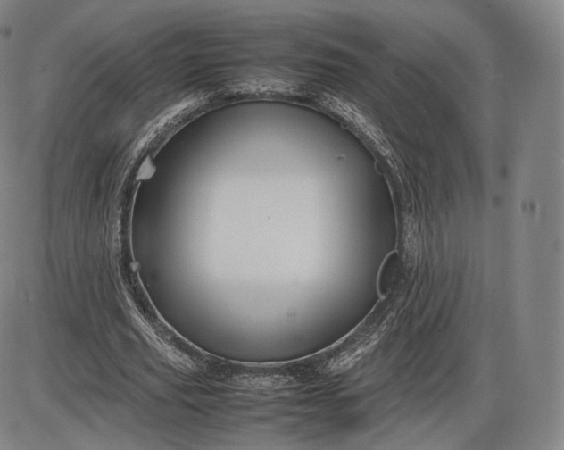 X0000085830629200703301620