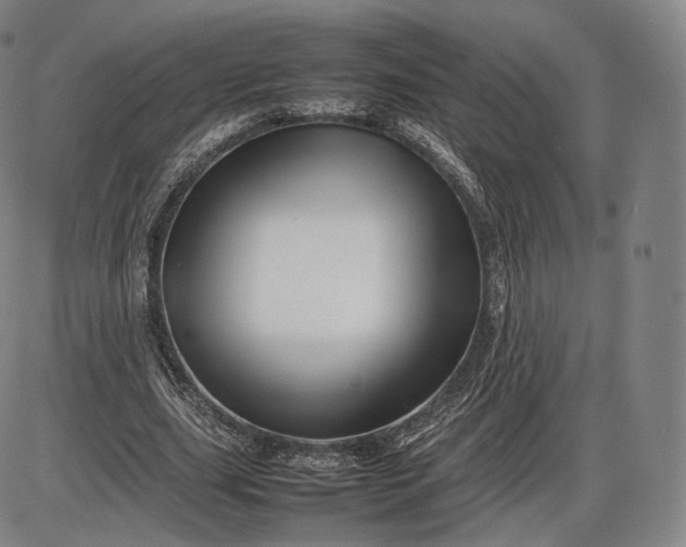 X0000085830631200703301620