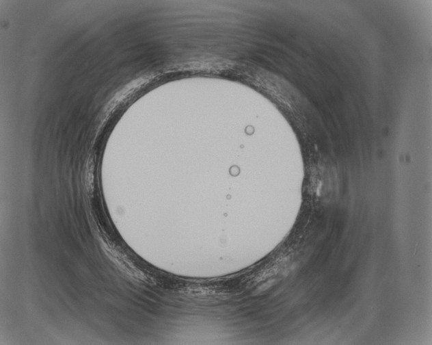 X0000085830632200703301620