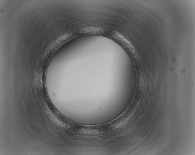 X0000085830633200703301620