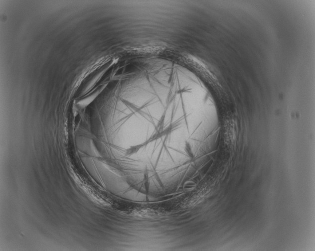 X0000085830634200703301620