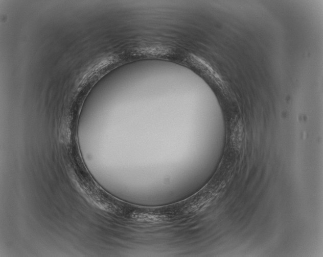 X0000085830635200703301620