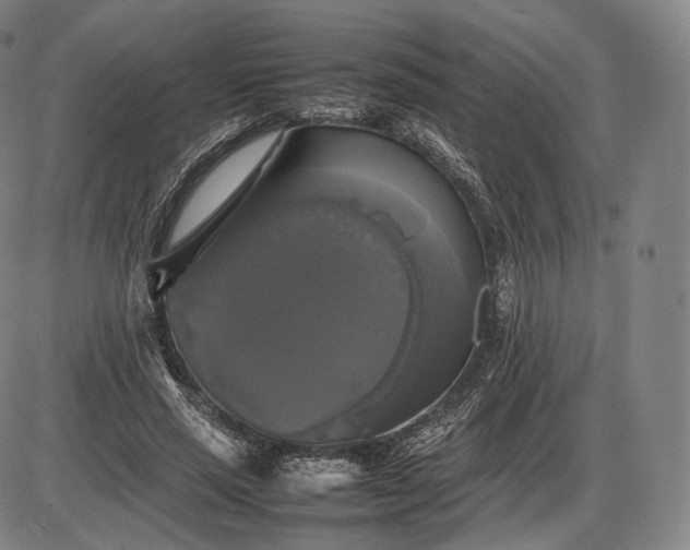 X0000085830637200703301620