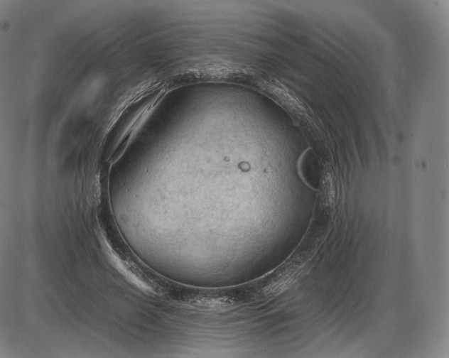 X0000085830638200703301620