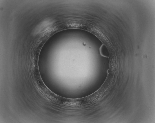 X0000085830639200703301620