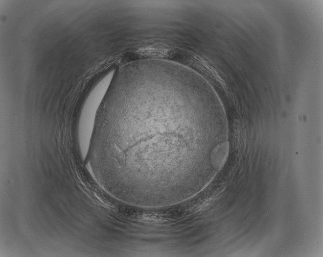 X0000085830641200703301620