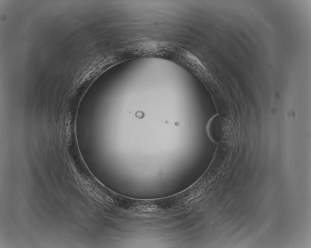 X0000085830642200703301620