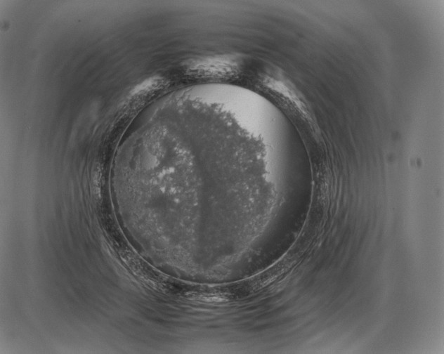 X0000085830643200703301620