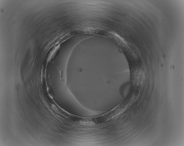 X0000085830644200703301620