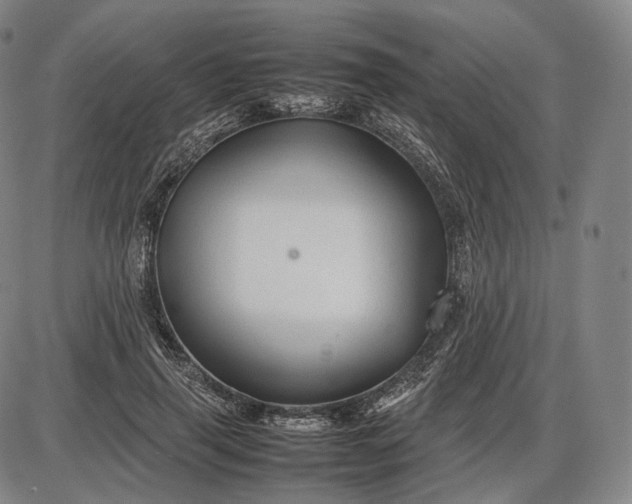 X0000085830645200703301620