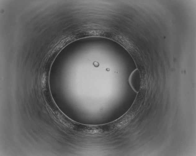 X0000085830646200703301620