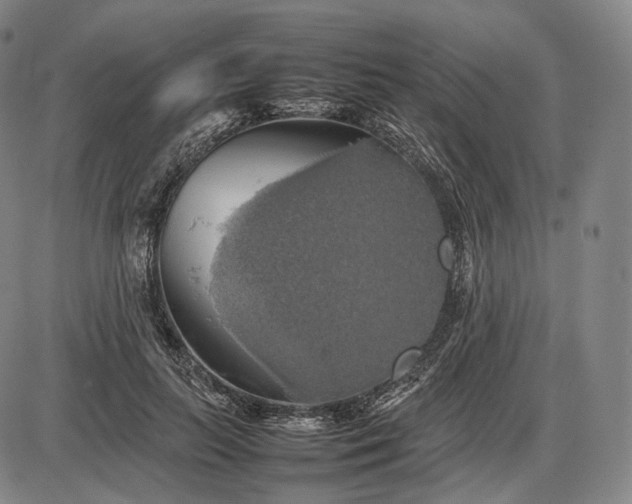 X0000085830647200703301620