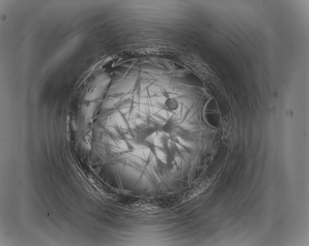 X0000085830648200703301620