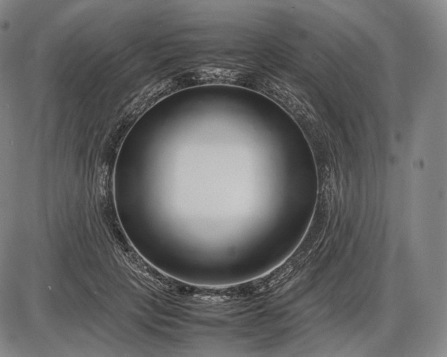 X0000085830649200703301620