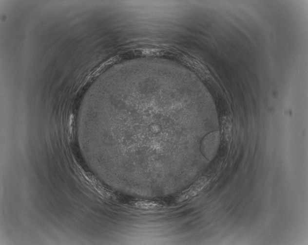 X0000085830650200703301620