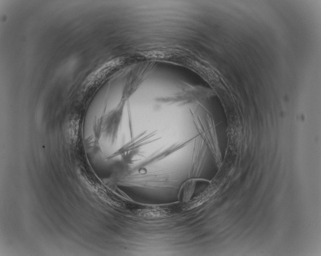 X0000085830652200703301620