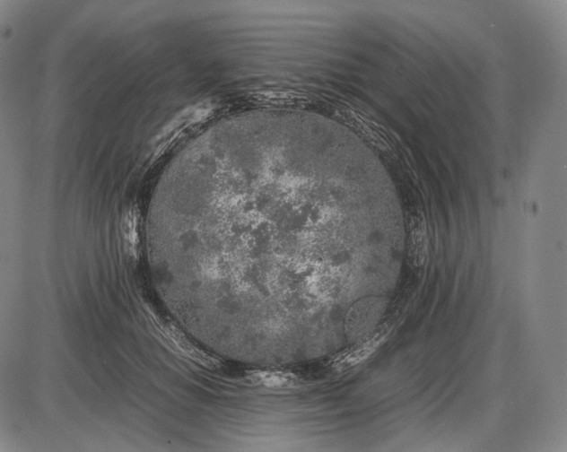 X0000085830654200703301620