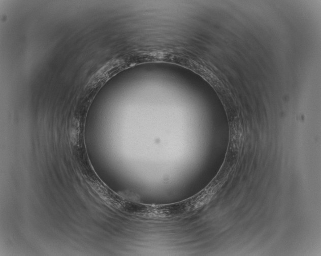 X0000085830656200703301620