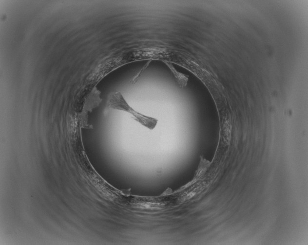 X0000085830657200703301620