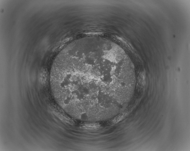 X0000085830659200703301620