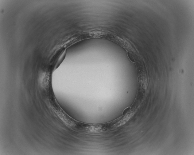 X0000085830660200703301620